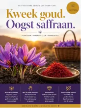 Saffraan teaser.